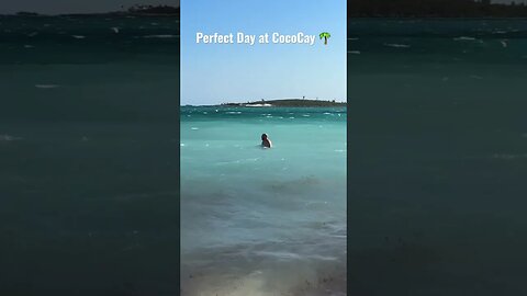 THE BEST PRIVATE ISLAND?? #royalcaribbean #cruisevlog #cruiselife #perfectdayatcococay