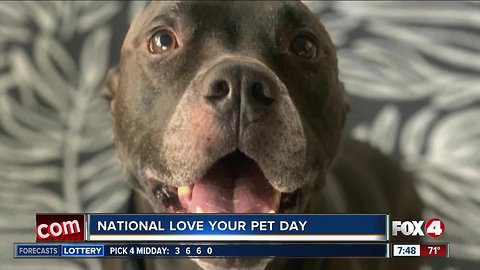 Fox 4 staff show off their pets on National Love Your Pet Day