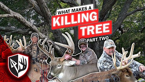 What Makes a Killing Tree - Part 2