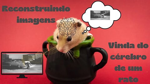 Reconstruindo imagem vinda do cérebro de um rato!!! Entenda a finalidade desse estudo.