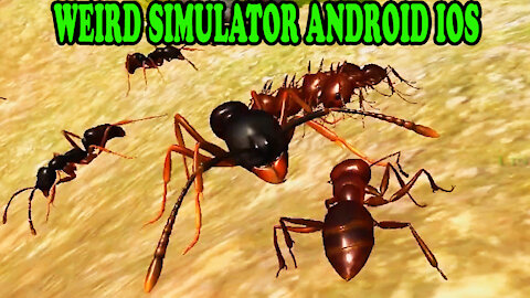 Top 8 Weird Simulator Games on Mobile - Android iOS