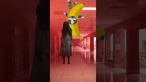 Banana Cat Gets Pulled Down A Creepy Hall! 💀