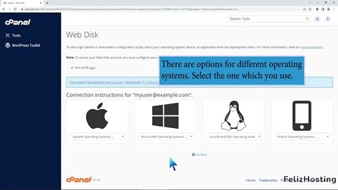 How to Access cPanel Web Disk with FelizHosting