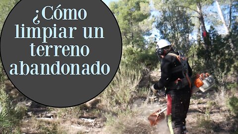 ¿Cómo limpiar terrenos abandonados y qué herramientas utilizar? Desbrozadora motosierra en uso