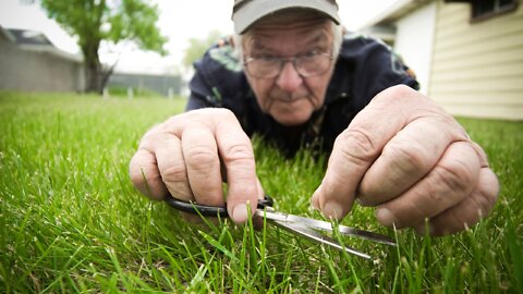 Farm | Efficient Gardening