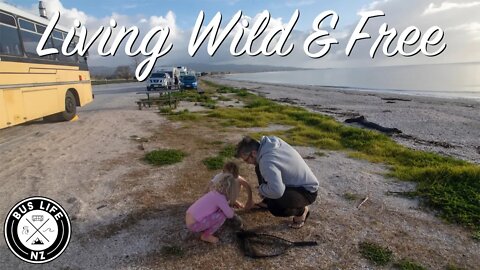 Living Off Grid in a RV Bus Conversion on the Beach | Bus Life NZ Family Vlog | Ep. 136