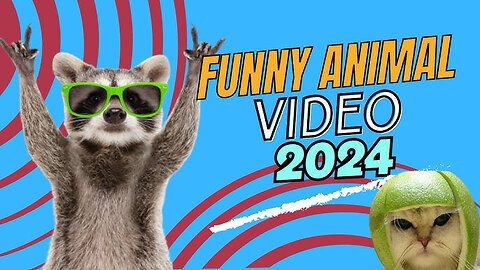 FUNNY ANIMALS VIDEOS 2024 #4 🤣🤣🤣