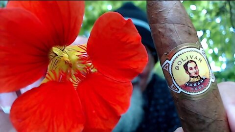 Chilling in Our Patio Garden with a Cuban Cigar, Bolivar Belicoso Fino: Open Discussion [ASMR]