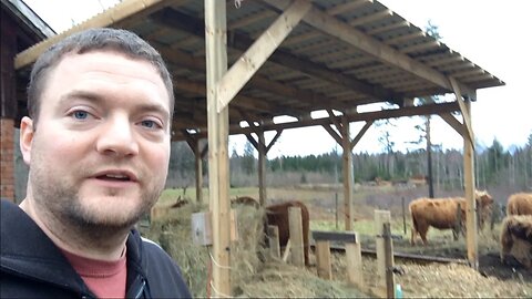 $1k Cow Shelter Produces $5k Worth of Compost/Year