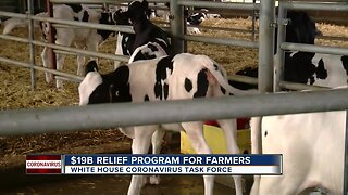 $19 billion farm aid relief