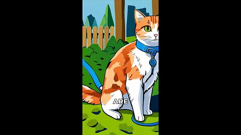 Teach Your Cat to Walk on a Leash | A Quick Guide to Feline Obedience