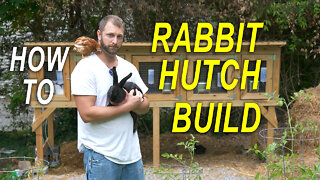 RABBIT HUTCH - PREDATOR PROOF - How To Build