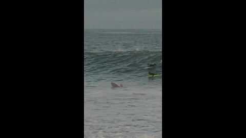 Surf, Natureza, Liberdade - Surf, Nature, Freedom