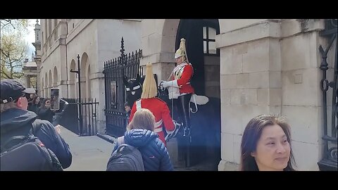 Horse taking back in Extinction rebellion protest #horseguardsparade