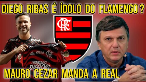 INCRÍVEL! DIEGO RIBAS É ÍDOLO DO FLAMENGO? MAURO CEZAR MANDA REAL SOBRE QUEM SÃO VERDADEIROS ÍDOLOS