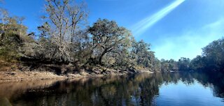 Suwannee River State Park 2021