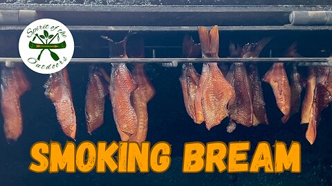 Smoking Bream