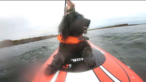 Paddle Board Video Test