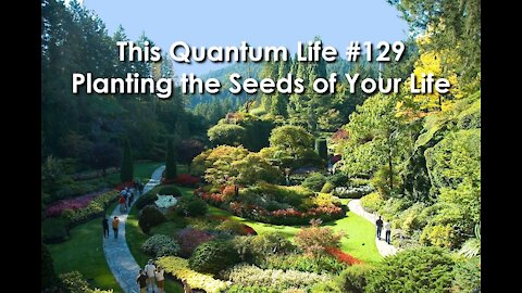 This Quantum Life #129 - Planting the Seeds of Your Life