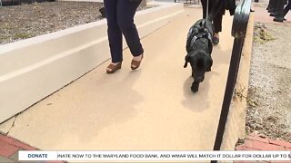 Police K-9 to combat child exploitation