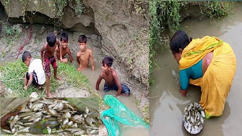 best hand fishing video catching snakehead fish from village pond village fishing #fishing