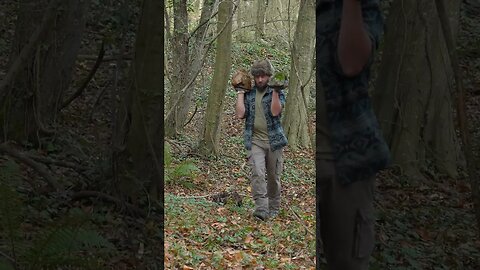 Building Survival Shelter - Sculpture From Old Wood❗️#shorts #survival