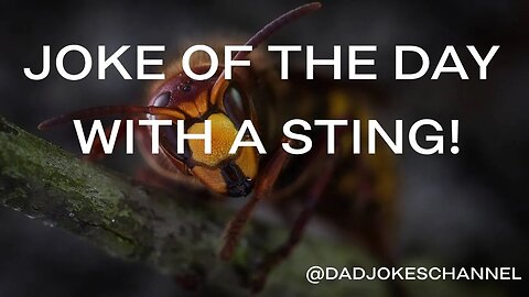 JOKE OF THE DAY - WITH A STING!