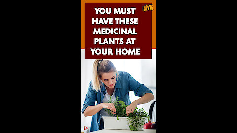 Top 4 Medicinal Plants That You Should Have In Your Home *