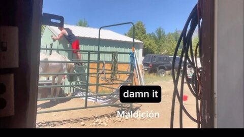 #Utah Horse Gets Fed & How Shade Goes Up