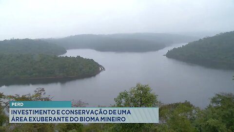 Parque Estadual Rio Doce: Investimento e Conservação de uma Área Exuberante do Bioma Mineiro.