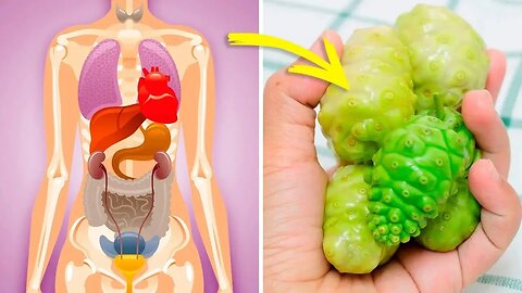 PARA QUE SERVE O SUCO DE NONI CONHEÇA OS BENEFÍCIOS DA “FRUTA PROIBIDA” NO BRASIL