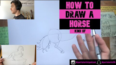 HOW TO DRAW A HORSE (kind of)