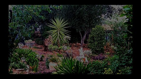 Winter in Australia - RAIN with distant thunder.