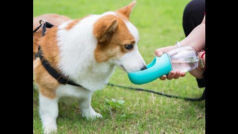 Pet water bottle transparent