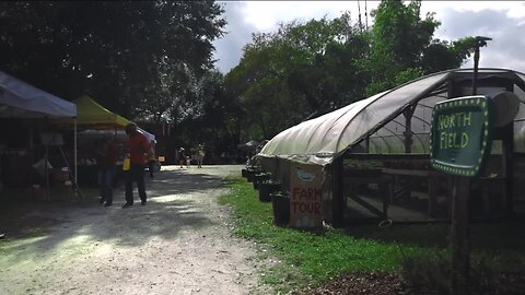 Florida's Insurance Crisis: A non-profit community farm hit with $15K flood insurance bill