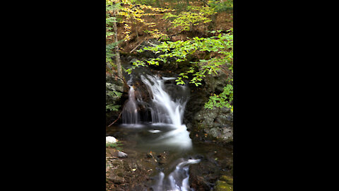 Waterfall Sounds Relaxing Rainforest Nature Sound Singing Birds Ambience