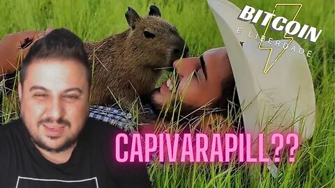 A Capivara Filó e a Cortina de Fumaça