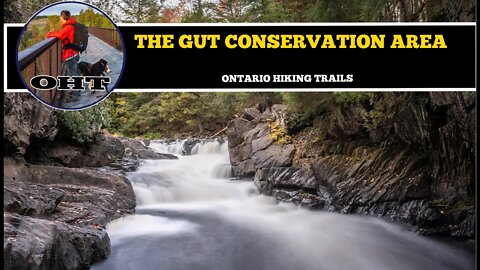 Autumn Colors At The Gut Conservation Area