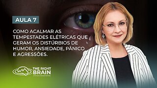 Aula 7/7 – Tempestades Elétricas que Geram os Distúrbios de Humor, Ansiedade, Pânico e Agressões