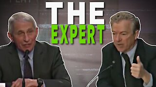 THE EXPERT