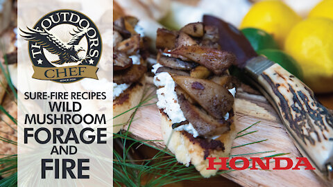 Wild Mushroom Forage and Fire with The Outdoors Chef