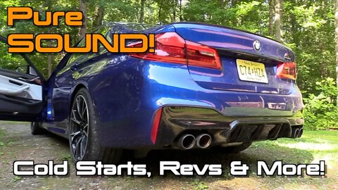 Pure Sound: 2019 BMW M5 Competition (Cold Starts, Revs & More!)