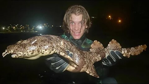 Jumping on SHARK Catch & Cook MUDCRAB in MANGROVES!