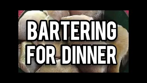 Bartering for Dinner #shorts - Ann's Tiny Life