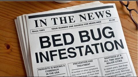 Facts About Bed Bugs You Probably Didn’t Know About