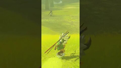 Devs attention to detail Zelda Skate of the Kingdom