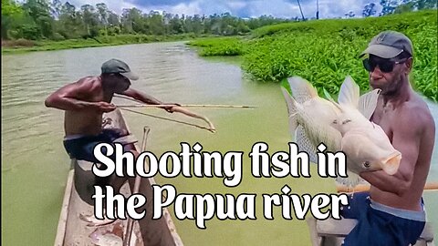 shooting fish in the Papua river