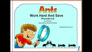 Ants Work Hard