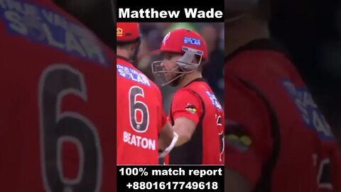 Matthew Wade SIX in BBL #shorts #cricketshort