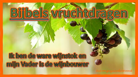 Discipelschap; Bijbels vruchtdragen